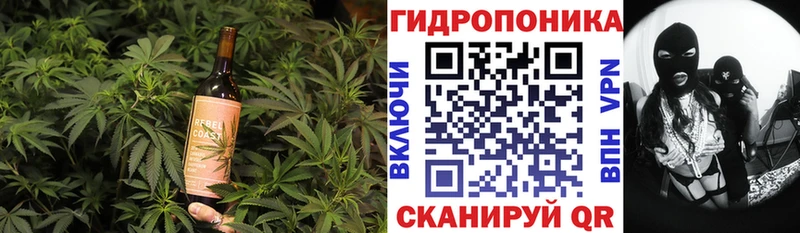 blacksprut вход  где можно купить наркотик  Омск  Cannafood конопля 