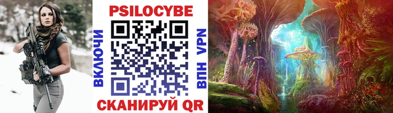 Псилоцибиновые грибы мухоморы  где купить наркоту  Омск 